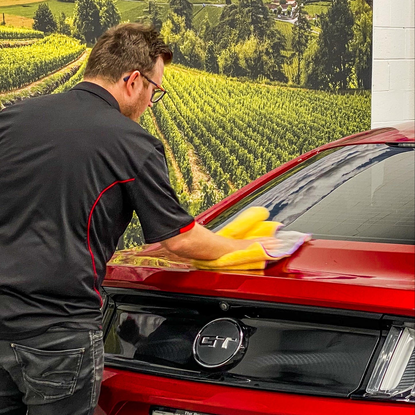 WAX ATTACK™ CORDLESS POLISHER